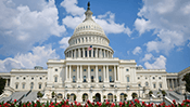 US Capitol Jigsaw Puzzle